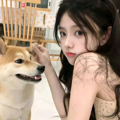 新猛龙过江